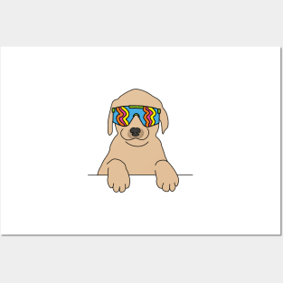 Labrador puppy Dog wearing 80's skiing sunglasses Posters and Art